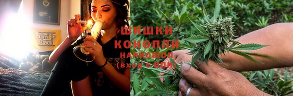 ешки Арсеньев
